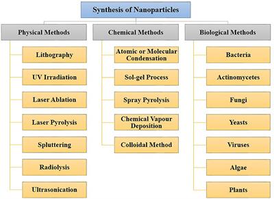 Microbial Nano-Factories: Synthesis and Biomedical Applications